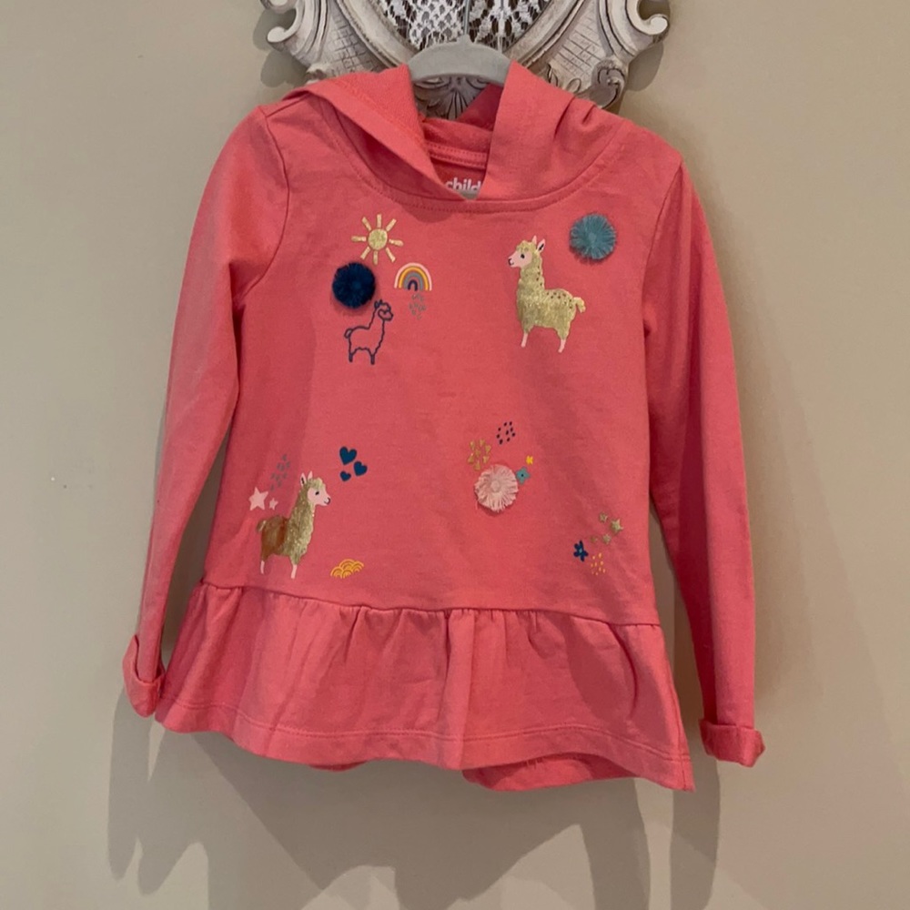 Child of mine by Carter’s Sweater with a Hoodie. D-9